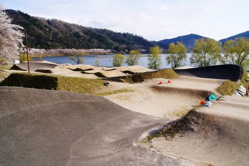 土師ダムの桜 BMXコース