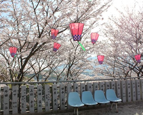 廿日市市 大田神社の桜の写真4