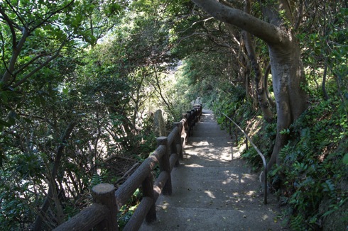 因島 地蔵鼻への道 画像2
