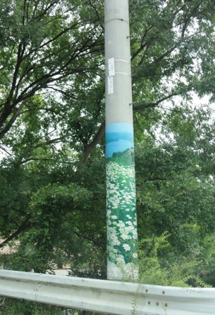 因島 除虫菊の電柱