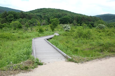 広島 八幡湿原の木道1