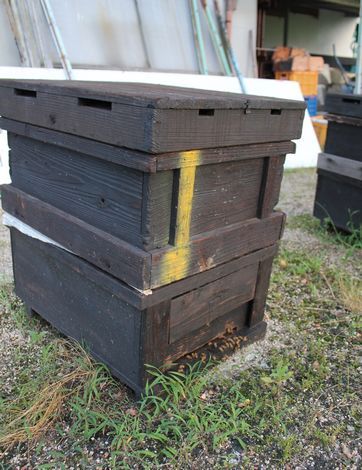 光源寺養蜂園　ミツバチの箱
