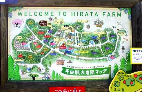 平田観光農園 園内マップ