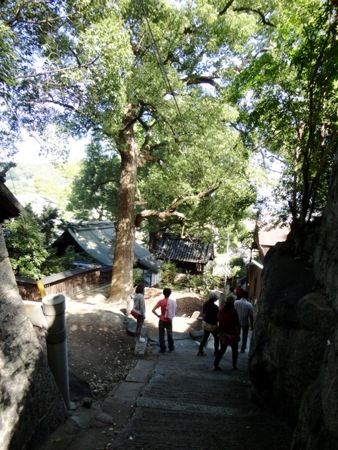猫の細道 神社の横