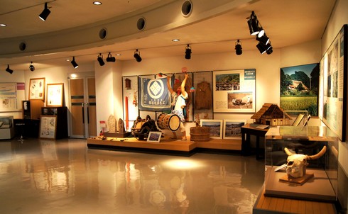 モグラ博物館(比和自然科学博物館) 画像4