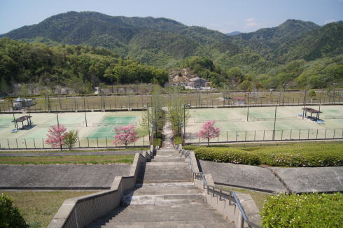 瀬野川公園 テニスコート