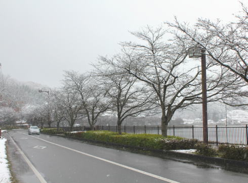 庄原 上野公園の雪景色