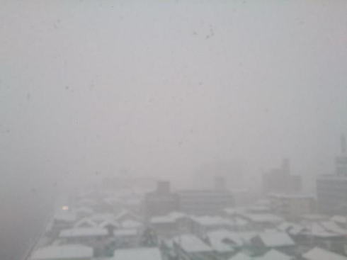 12月17日の大雪 広島市西区