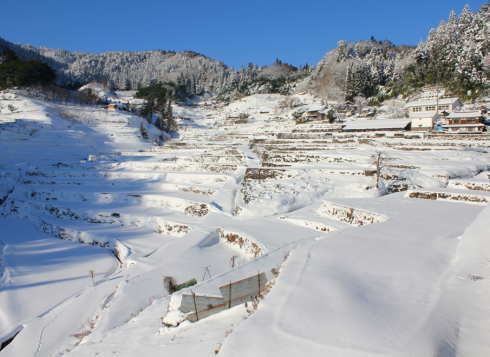冬の日本の原風景、井仁の棚田が雪景色に