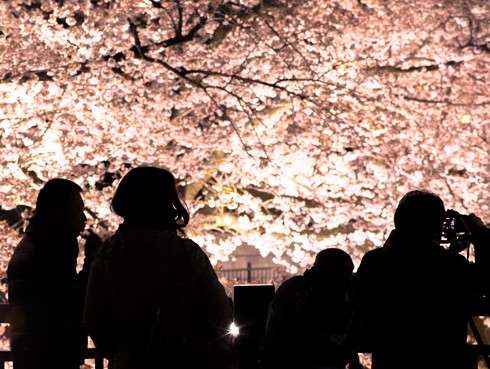 4月4日の皆既月食、地域によっては桜との共演も