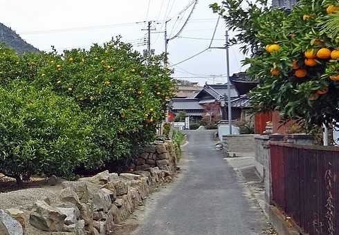 佐木島の風景
