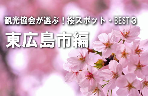 広島の観光協会が選ぶ！桜スポットBEST3 【東広島市編】