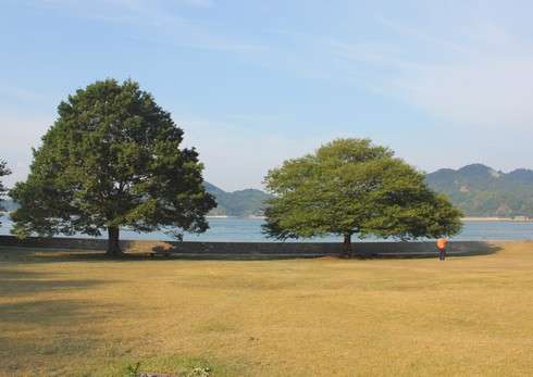 因島大橋記念公園、芝生広場