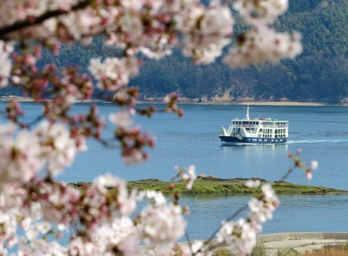 佐木島 港の丘公園の桜 画像7