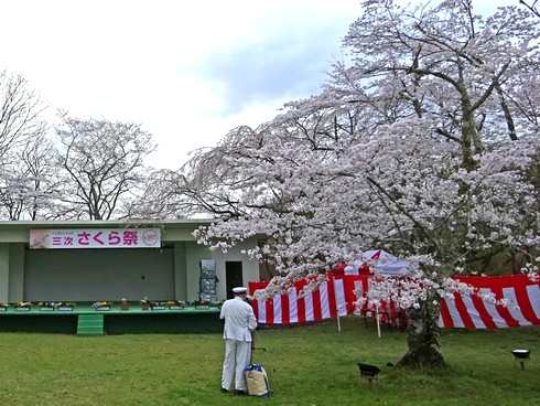 尾関山公園の桜 画像7