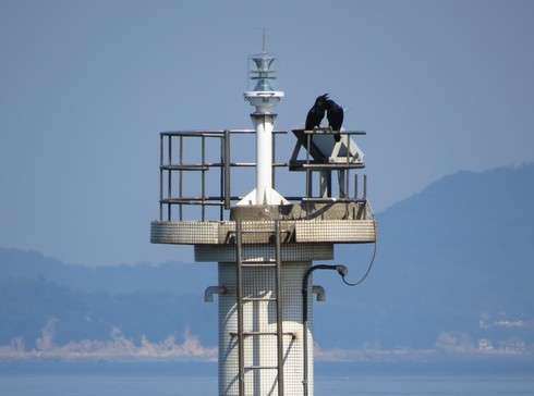 玉津島の灯台