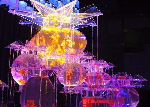 金魚と光のアート展が広島クレドホールでスタート