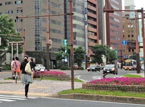 広島の街に、季節ごとに綺麗な花が植えられている