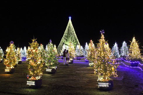 備北丘陵公園ウインターイルミネーション2015 大芝生広場