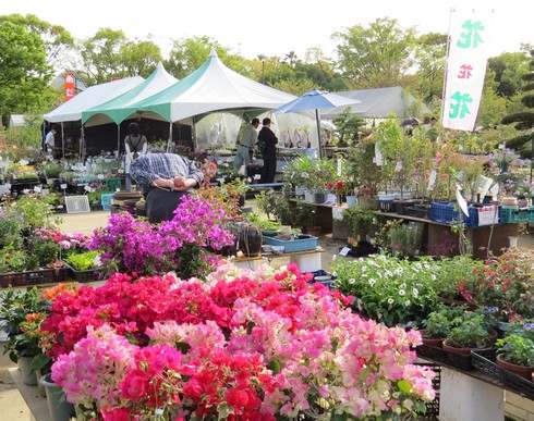 広島でグリーンフェア、花の苗や盆栽・ミニガーデンのお手本も！