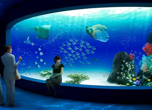マリホ水族館、2017年夏 広島市にオトナの癒しスポット誕生