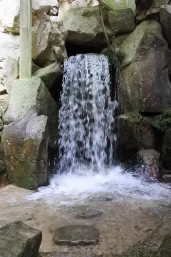 三瀧寺 境内の水の流
