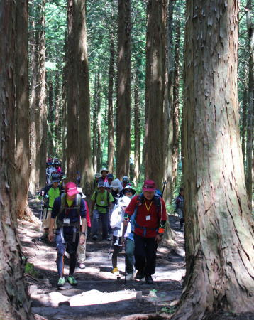 庄原 比婆山登山・トレッキングの風景2