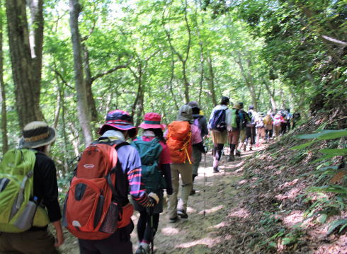 庄原 比婆山登山・トレッキングの様子