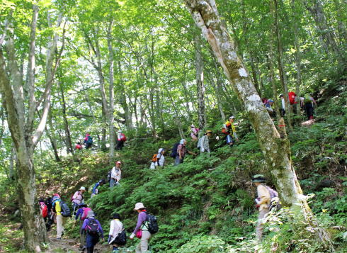 庄原 比婆山登山・トレッキングの様子7