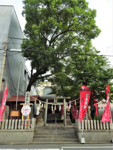 カープ必勝祈願 広島の愛宕神社の写真