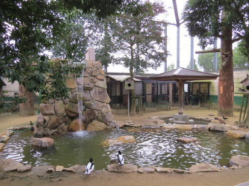 福山市立動物園 フライングゲージ