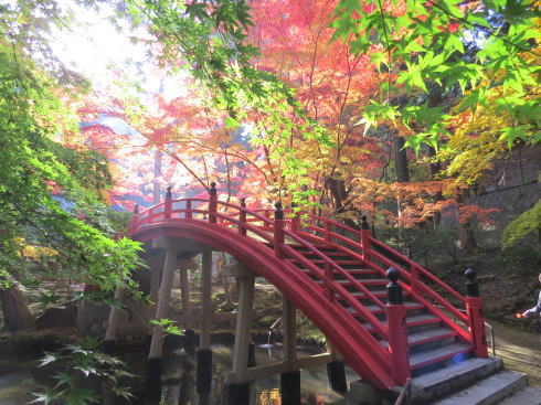 今高野山 龍華寺の秋、紅葉美しく世羅の街並み眼下に