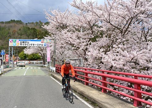 土師ダム レンタサイクルで桜のトンネルを走る