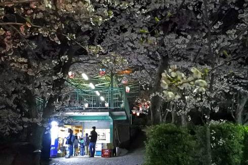 正福寺山公園の売店