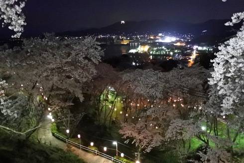 正福寺山公園の夜桜が美しい、ボンボリの明かり優しく