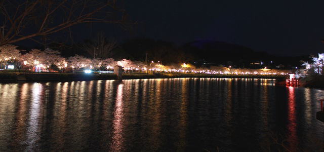 上野公園（庄原）夜桜ライトアップ 画像6