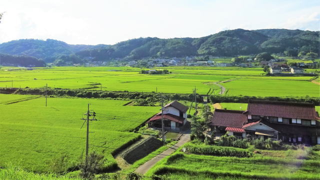 七塚原サービスエリア 上り線からの景色