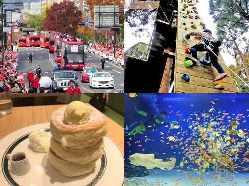 2017年 広島で最も注目されたのは？広島ニュース 食べタインジャー年間アクセスランキング