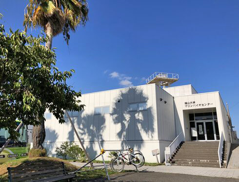 福山大学マリンバイオセンター水族館