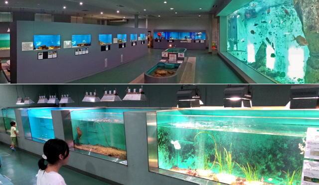 因島・福山大学マリンバイオセンター水族館の全景