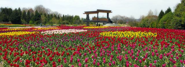 庄原市 備北丘陵公園について