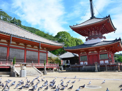 尾道 浄土寺は国宝の寺、白鳩の絵馬・鎖道登山コースも