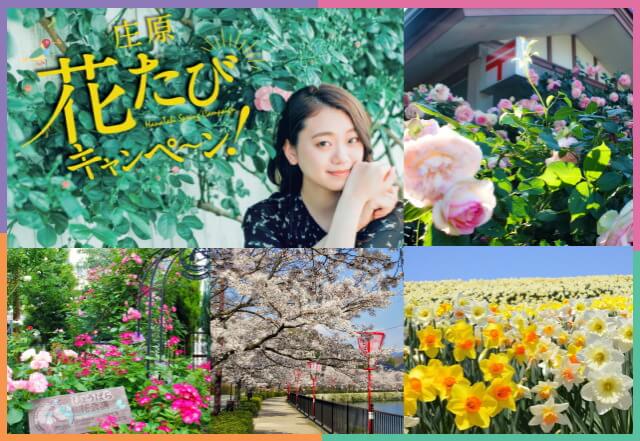 庄原の特産品が当たる!春の花楽しむ庄原 花たびキャンペーン