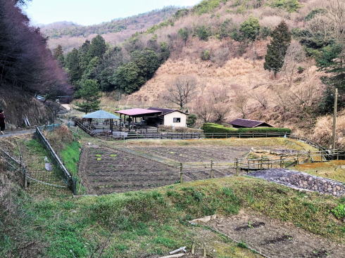 広島県福山市 平家谷つばき園 画像5