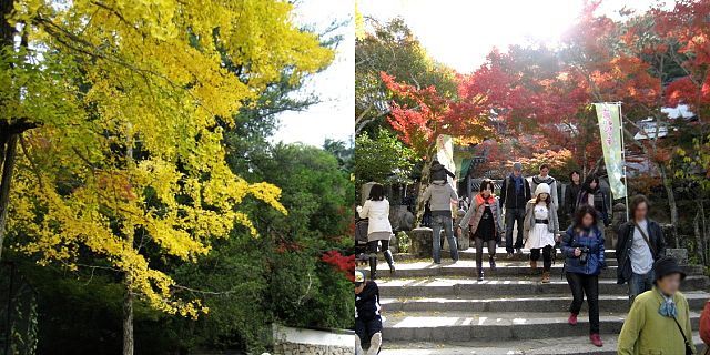 大聖院　紅葉シーズン