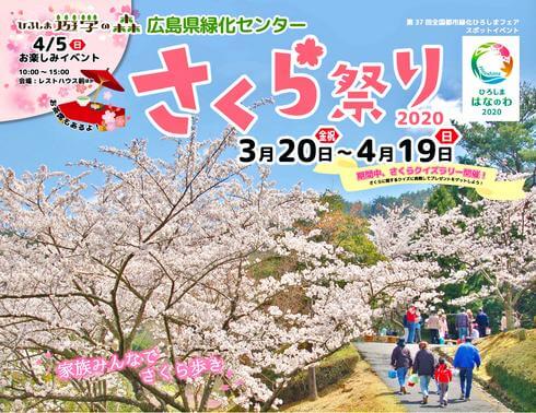 広島県緑化センターで「さくら祭り」3月20日からスタート