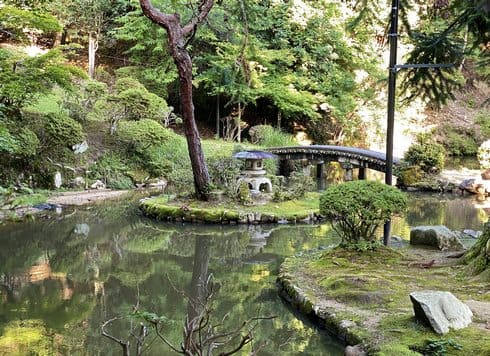 郡山公園の日本庭園