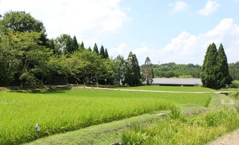 備北丘陵公園、ひばの里 畑で稲作も