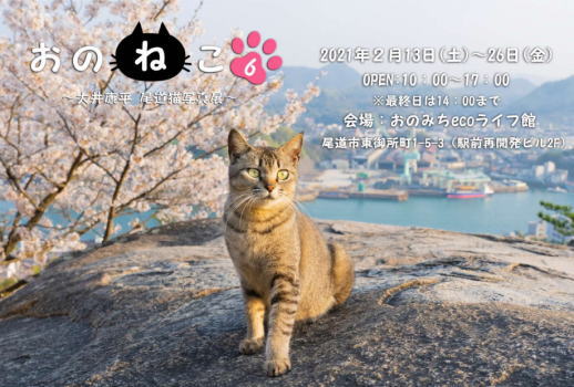おのねこ6、尾道の猫写真展 駅前で開催