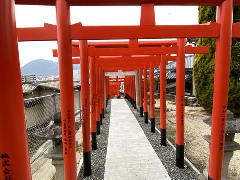 大島神社の連立鳥居、石段の様子